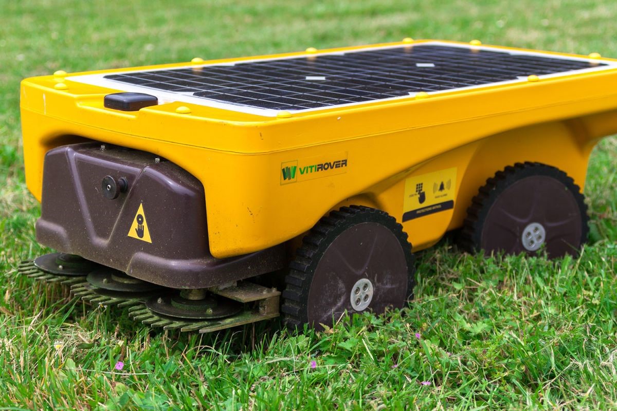 ブドウ畑のロボット